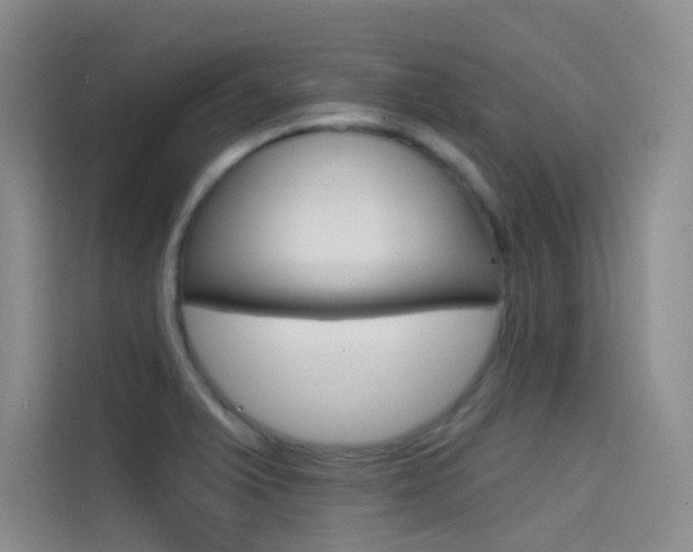 X0000114731375200910211054