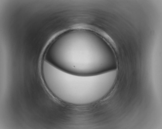 X0000114731376200910211054