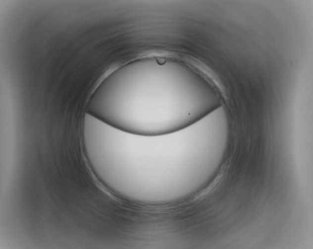 X0000114731377200910211054