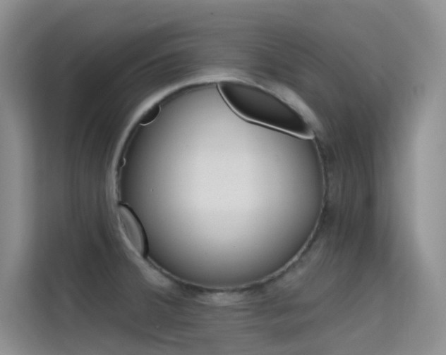 X0000114731380200910211054