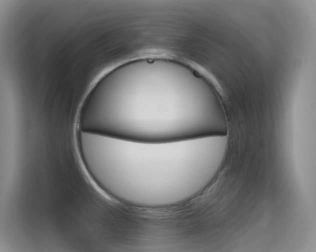 X0000114731383200910211054
