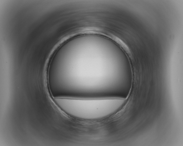 X0000114731384200910211054