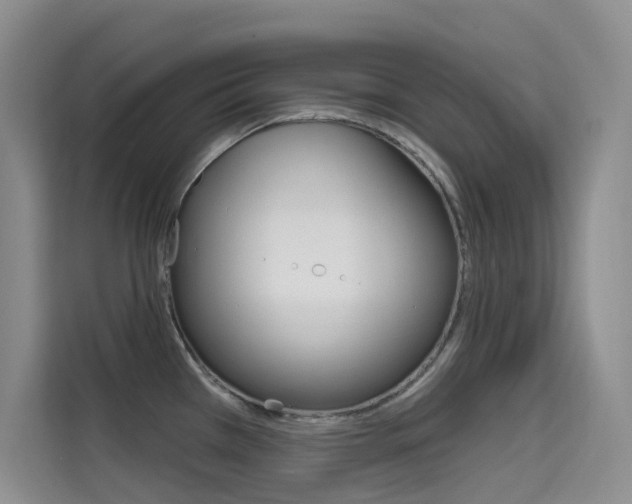 X0000114731385200910211054