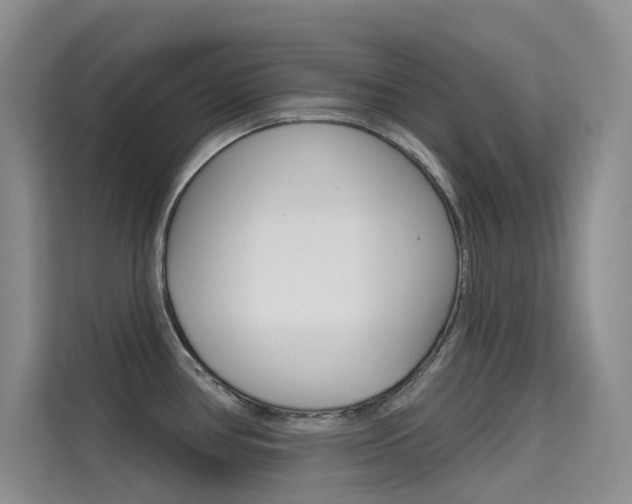 X0000114731386200910211054