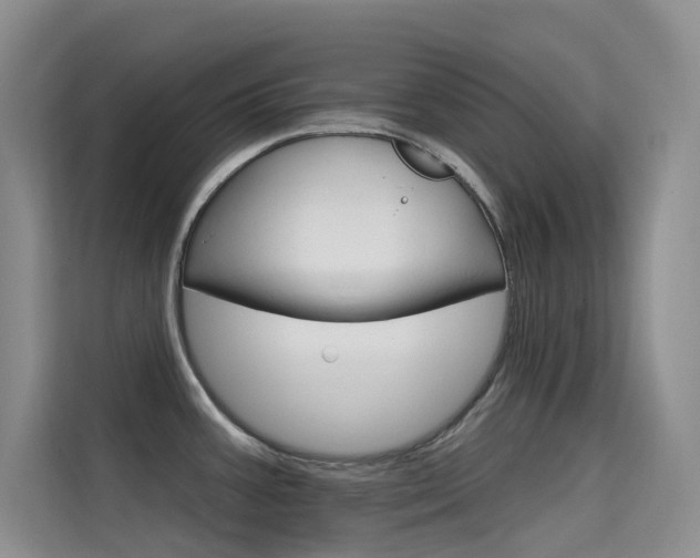 X0000114731387200910211054