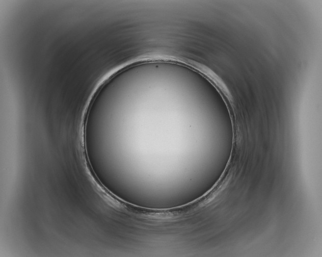 X0000114731388200910211054