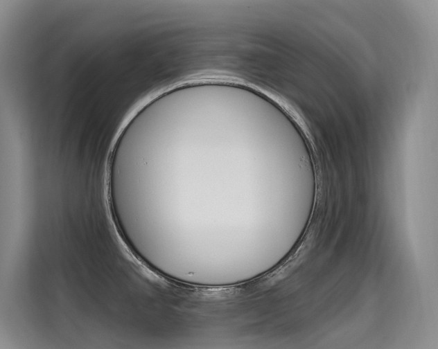 X0000114731390200910211054
