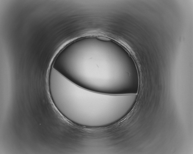 X0000114731392200910211054