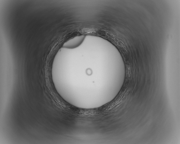 X0000114731393200910211053