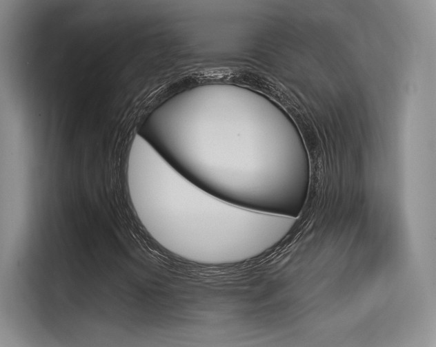 X0000114731394200910211053