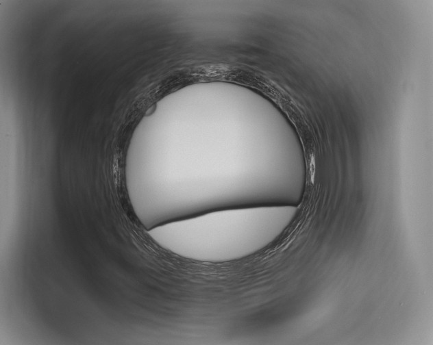 X0000114731395200910211053
