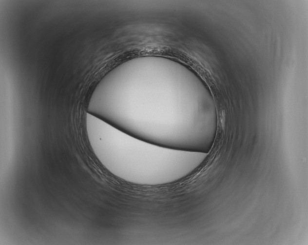 X0000114731396200910211053