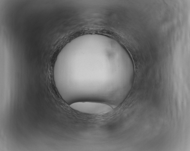 X0000114731397200910211053