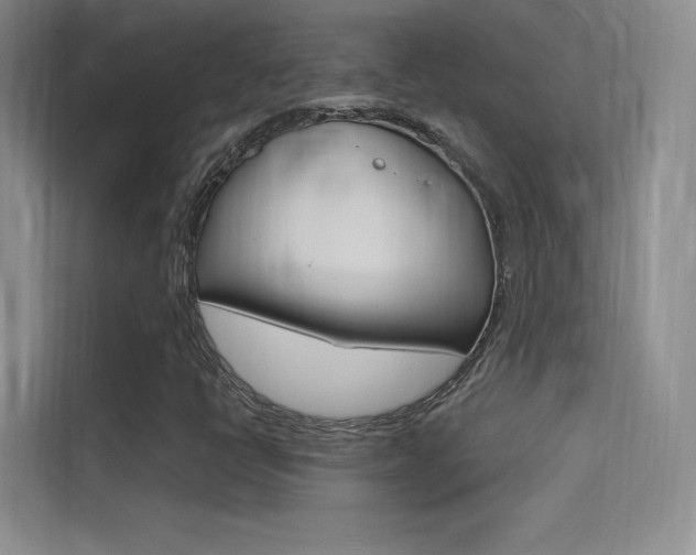 X0000114731398200910211053