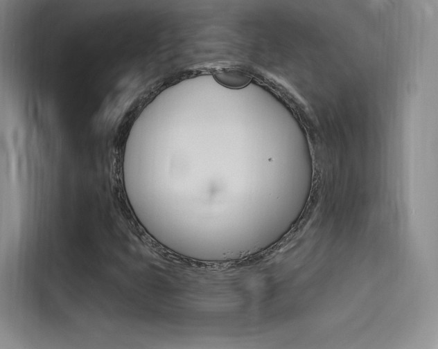 X0000114731399200910211053