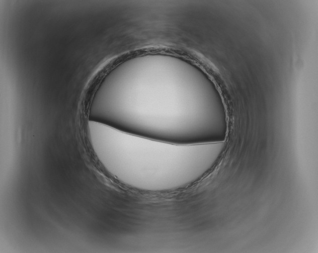 X0000114731400200910211053