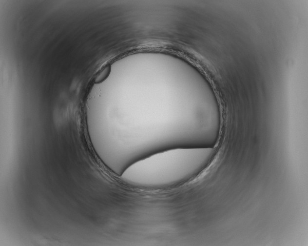 X0000114731401200910211053