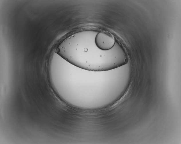 X0000114731402200910211053