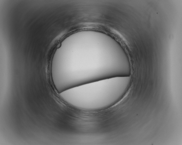 X0000114731403200910211053
