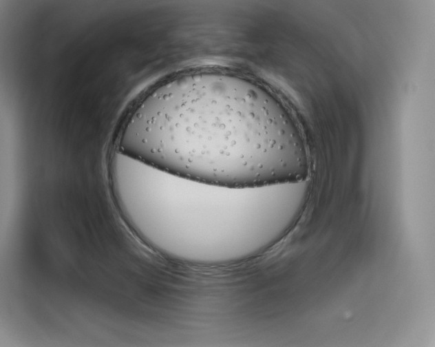 X0000114731404200910211053