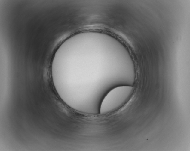 X0000114731405200910211053