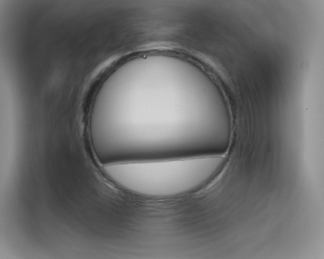 X0000114731406200910211053