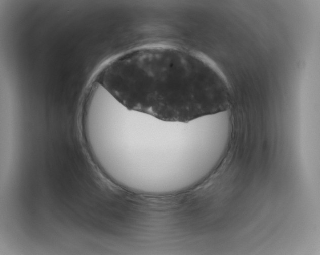 X0000114731408200910211053