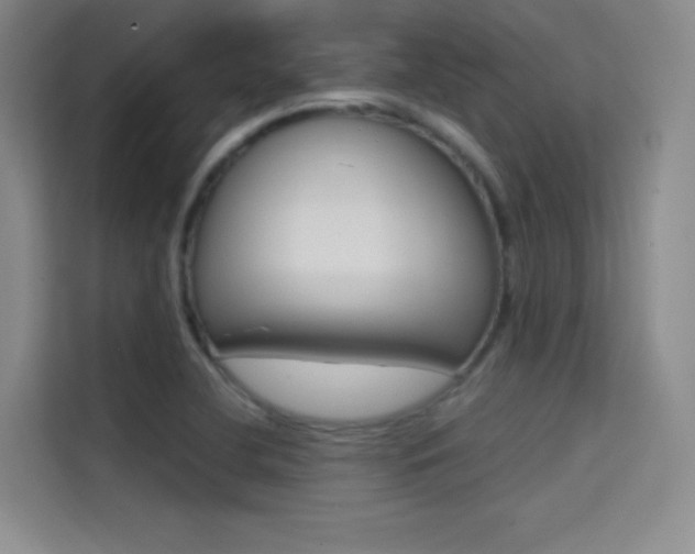 X0000114731412200910211053