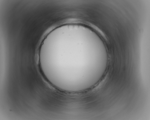 X0000114731413200910211053