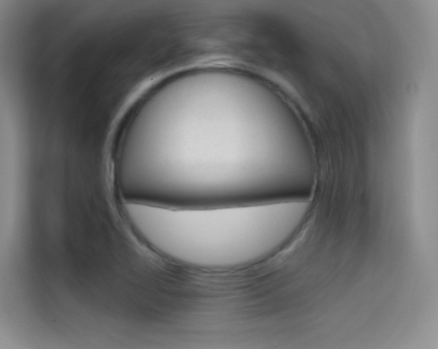 X0000114731414200910211053