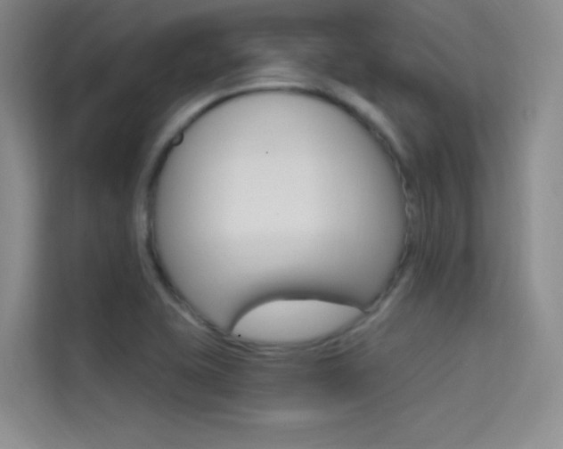 X0000114731415200910211053