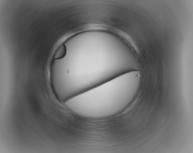 X0000114731419200910211053