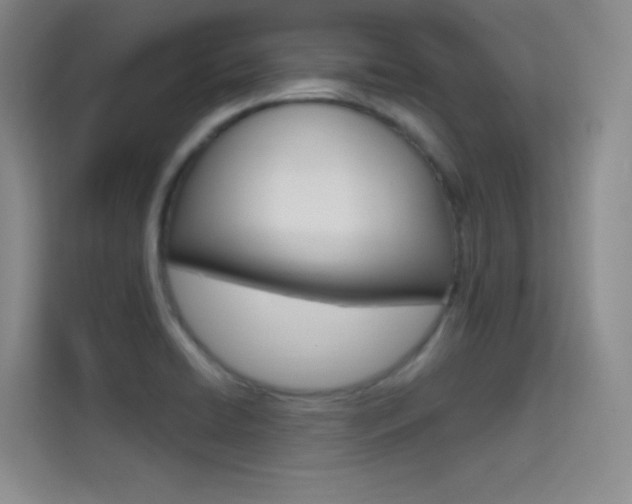 X0000114731422200910211054