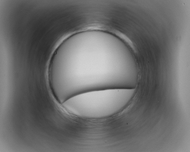X0000114731423200910211054