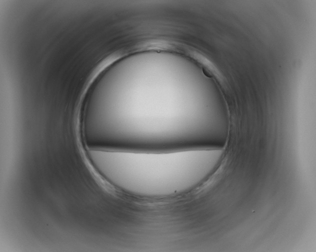 X0000114731426200910211054