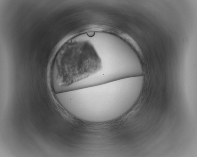 X0000114731427200910211054