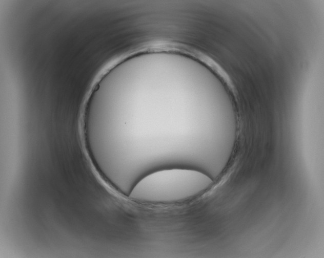 X0000114731429200910211054