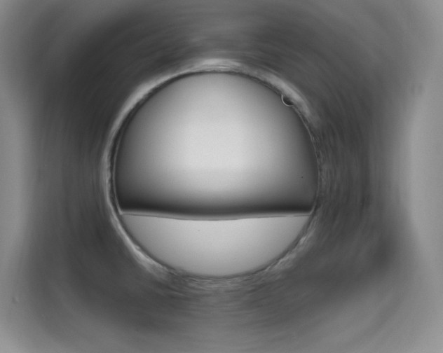X0000114731430200910211054
