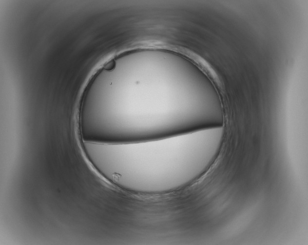 X0000114731432200910211054