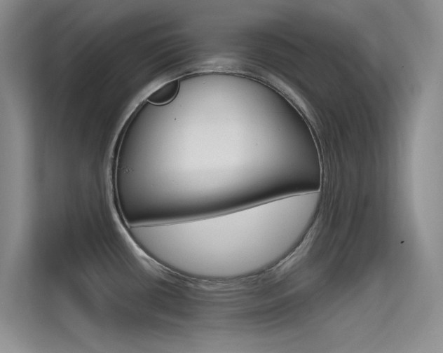 X0000114731434200910211054