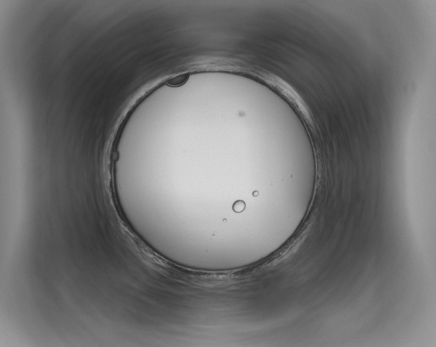X0000114731435200910211054