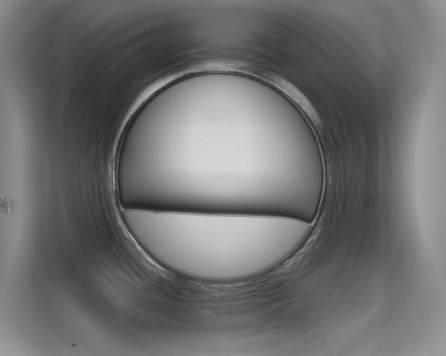 X0000114731436200910211054