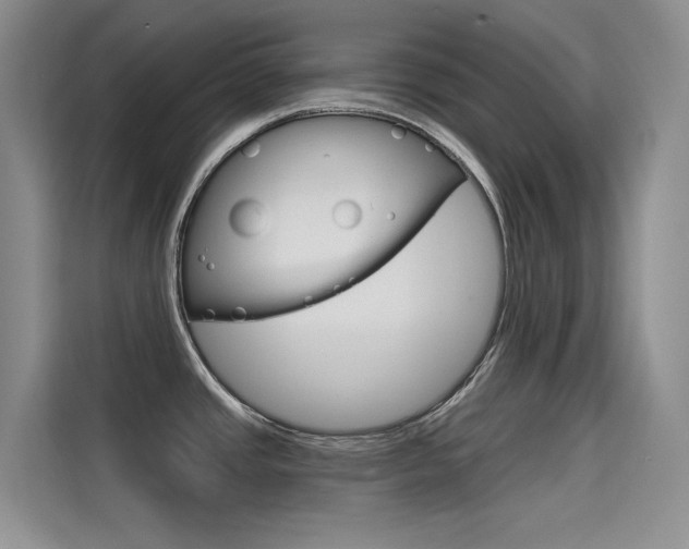 X0000114731437200910211054