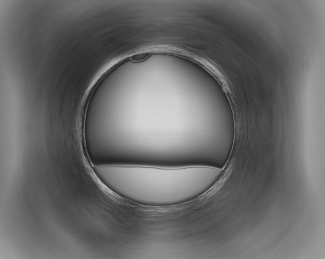 X0000114731438200910211054