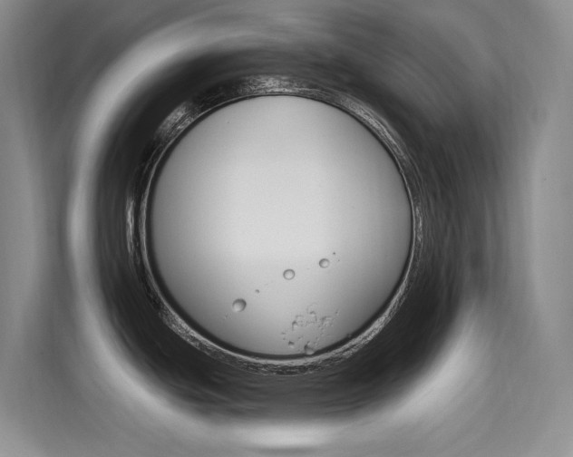X0000114731439200910211054