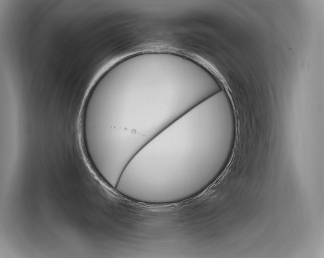 X0000114731440200910211054