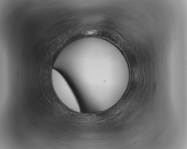 X0000114731442200910211053