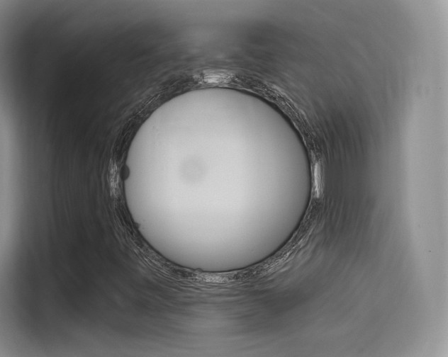 X0000114731443200910211053