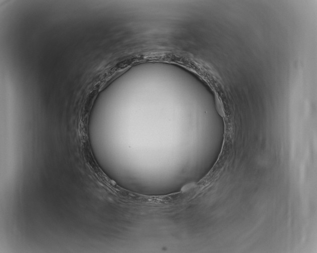 X0000114731445200910211053