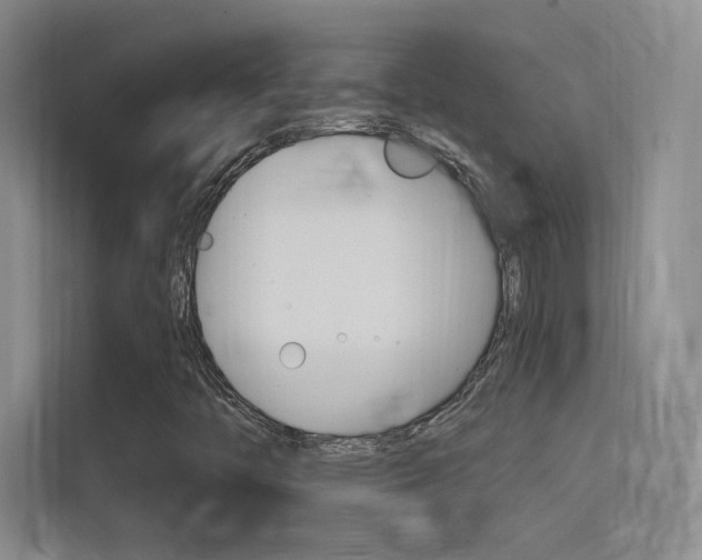 X0000114731446200910211053